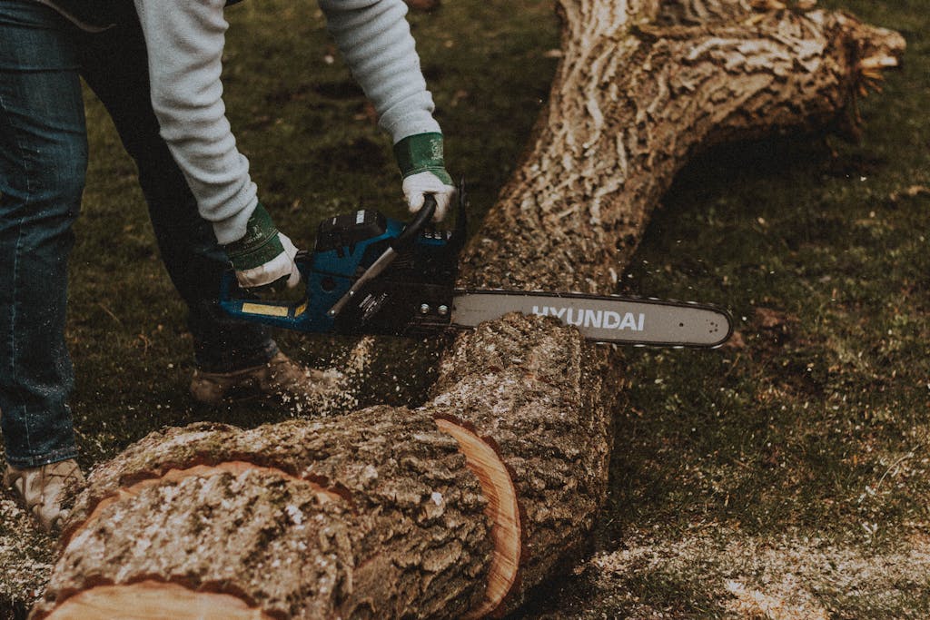 Side view of faceless male worker sawing long curvy tree trunk with professional electric chainsaw on grassy terrain in countryside